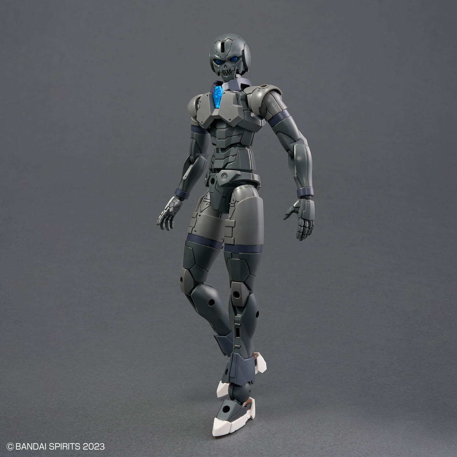 30mfPKG_R_assassin_0207