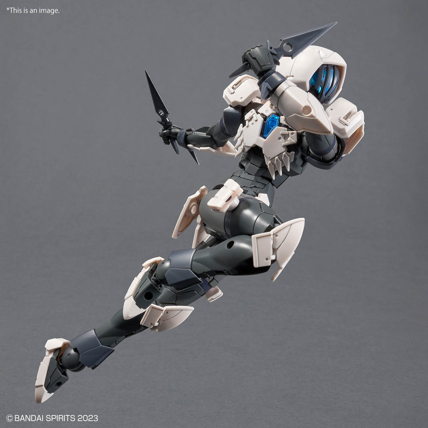 30mfPKG_R_assassin_0207